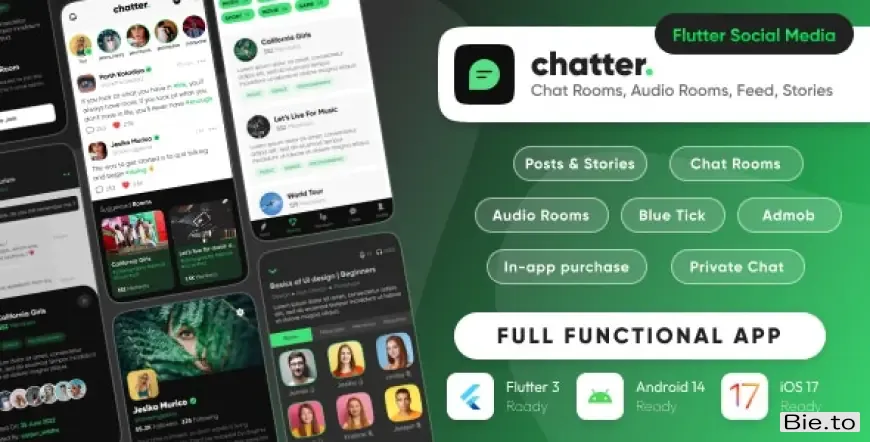 Chatter - Ultimate Social Media with Chat Rooms, Posts, Stories