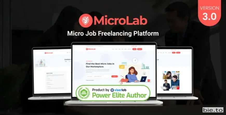 MicroLab - Micro Job Freelancing Platform