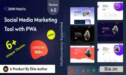 SMM Matrix v4.3 - Social Media Marketing Panel with PWA