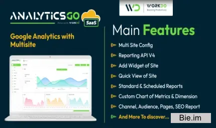 AnalyticsGo SaaS - Google Analytics V4 with Multisite