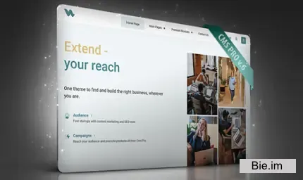 CMS pro - Content Management System