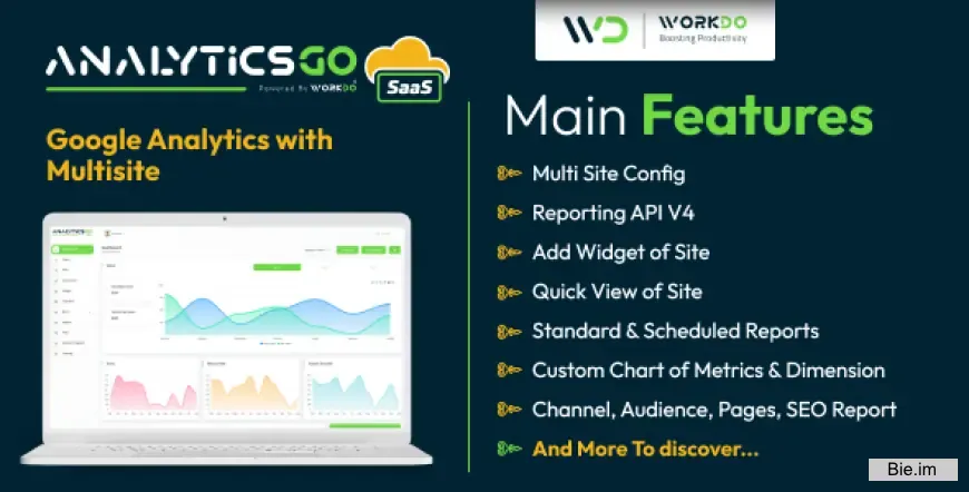 AnalyticsGo SaaS - Google Analytics V4 with Multisite