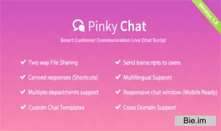 Pinky Chat - Live Chat Support Script