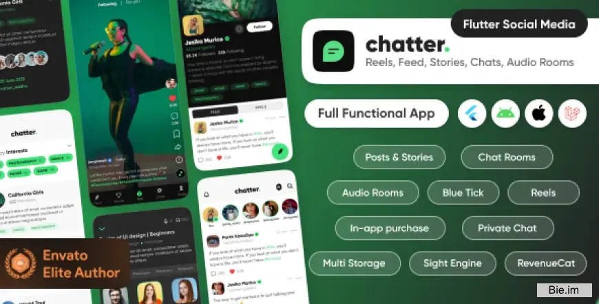 Chatter - Ultimate Social Media with Chat Rooms, Posts, Stories