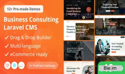 Bione - Business Consulting Laravel CMS With Live Page Builder