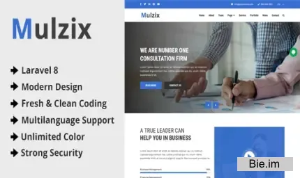 Mulzix - Multipurpose Business and Agency CMS