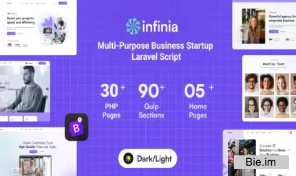Infinia v1.0.7 - Multipurpose Business Consulting Startup Laravel Script