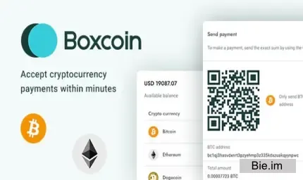 Boxcoin - Crypto Payment Script