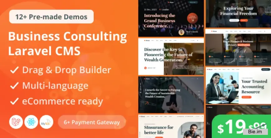 Bione - Business Consulting Laravel CMS With Live Page Builder