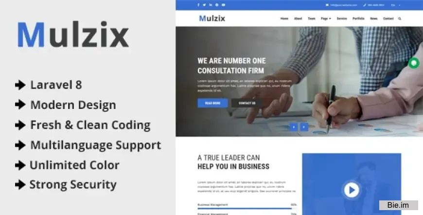 Mulzix - Multipurpose Business and Agency CMS