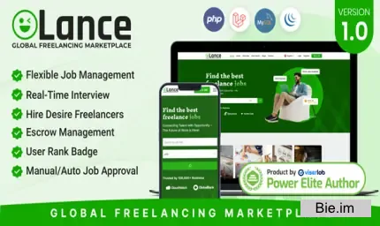 Olance v1.0 - Global Freelancing Marketplace