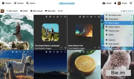 Chevereto Pro v4.3.7 - Image Hosting Software nulled