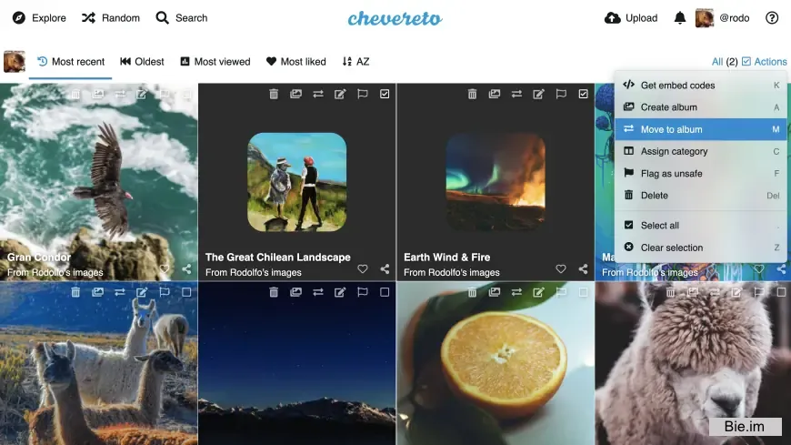 Chevereto Pro - Image Hosting Software