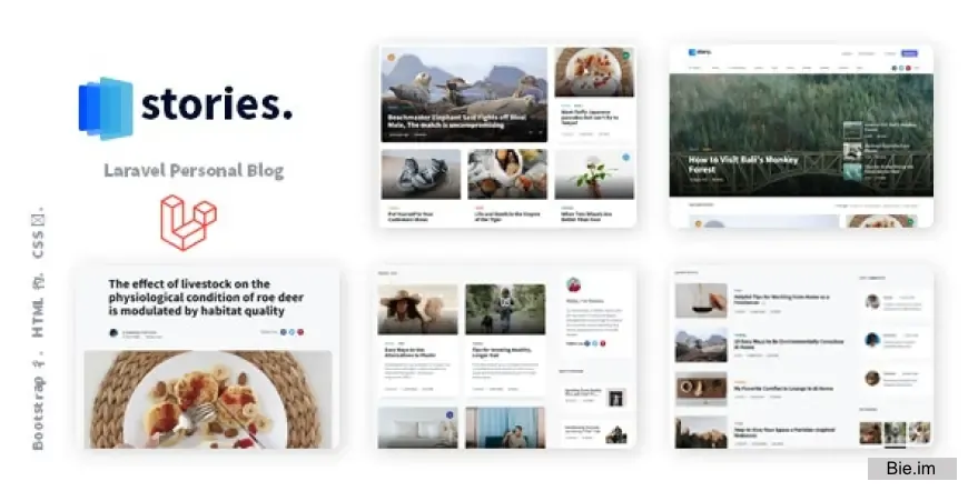 Stories v1.36.6 - Laravel Creative Multilingual Blog