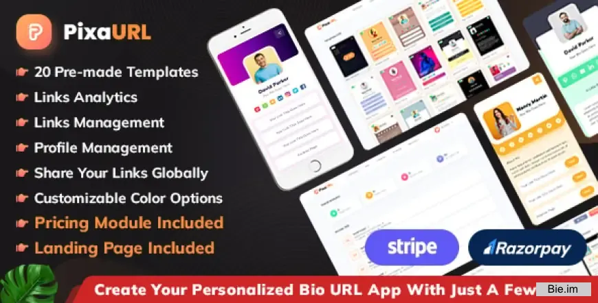 PixaURL - Run Your Own SaaS Platform for Building Bio URL, Mini Sites, Digital Cards - 5 June 2025