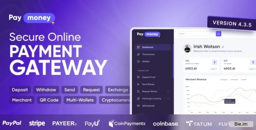 PayMoney v4.3.5 - Secure Online Payment Gateway - nulled