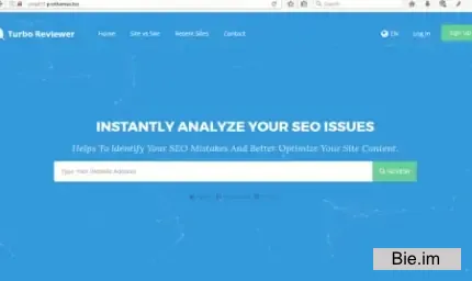 Turbo Website Reviewer v3.2 - In-depth SEO Analysis Tool