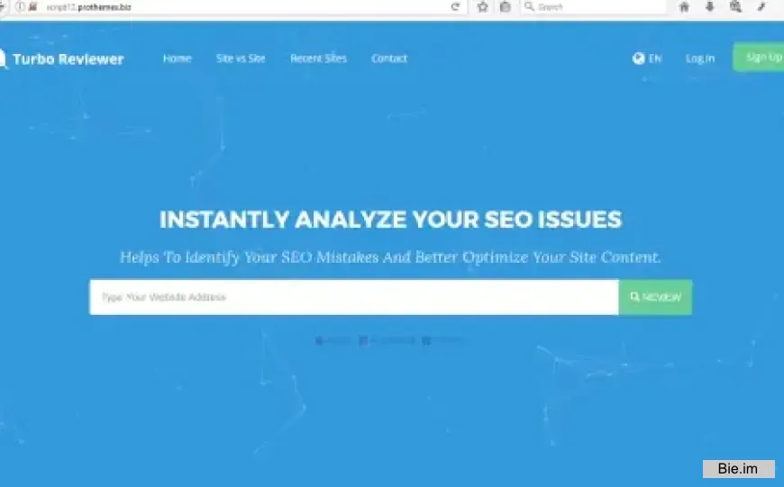 Turbo Website Reviewer v3.2 - In-depth SEO Analysis Tool
