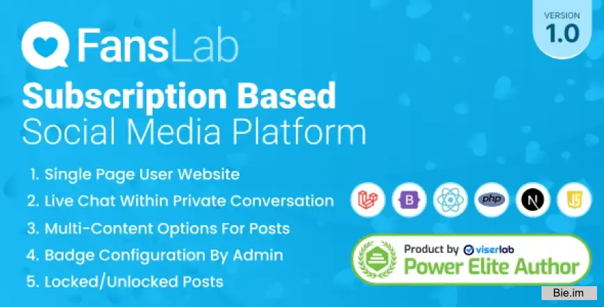 FansLab v1.0 - Subscription Based Social Media Platform - nulled