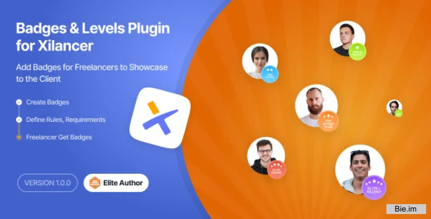 Freelancer Level Plugin for Xilancer v1.3 – Freelancer Marketplace Platform