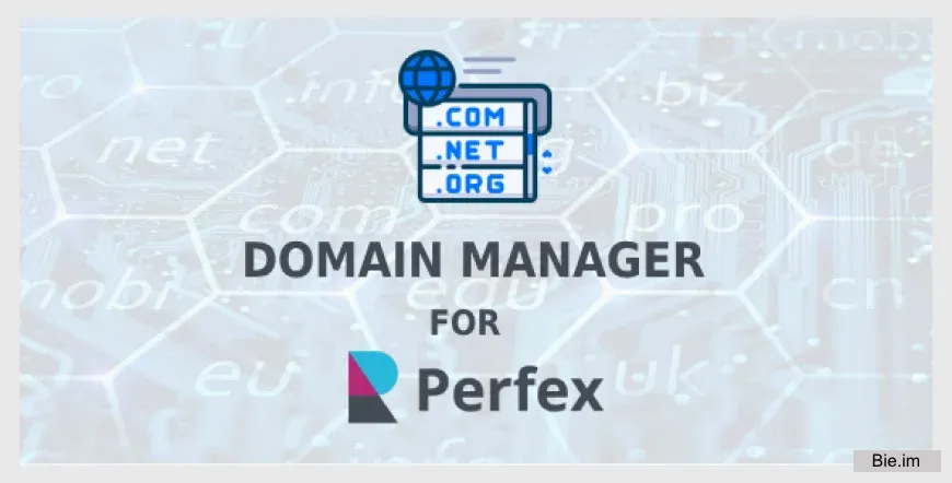 Domain Manager for Perfex CRM v1.0.1 – Manage and Track Your Domains Efficiently