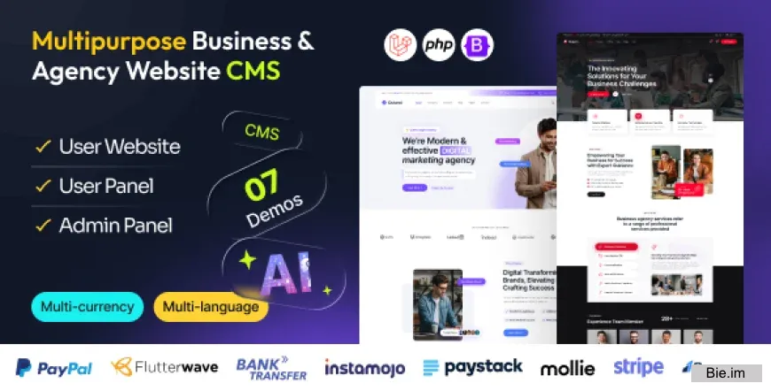 Quland v1.0 - Multipurpose Business and Agency Laravel Website CMS
