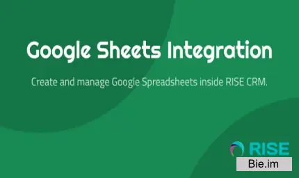 Google Sheets Integration for RISE CRM v1.0.1