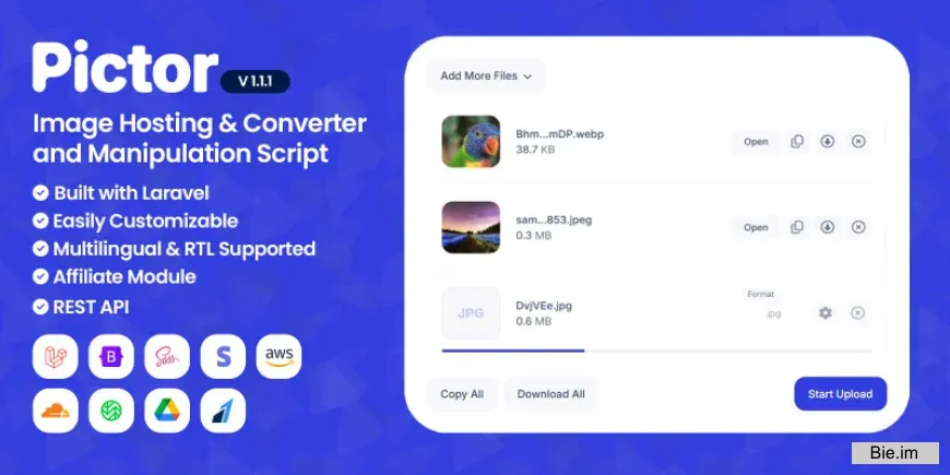 Pictor v1.1.1 - Image Hosting And Converter Script
