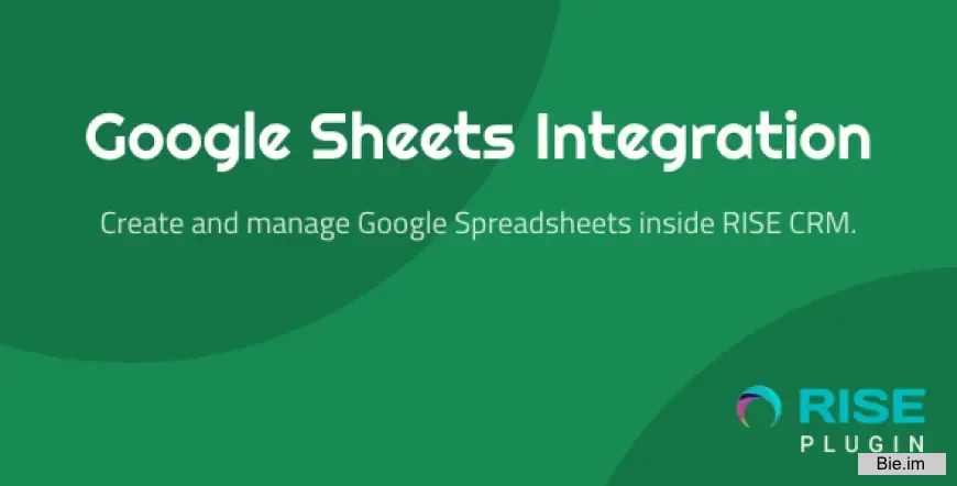 Google Sheets Integration for RISE CRM v1.0.1