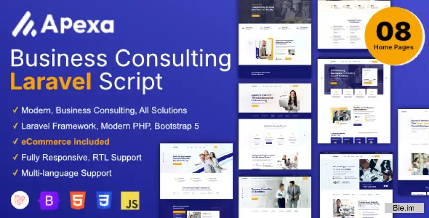 Apexa v1.4.1 - Multi-Purpose Business Consulting Laravel Script - nulled